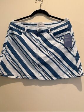 Universal Thread Blue and White Striped Denim Mini Skirt